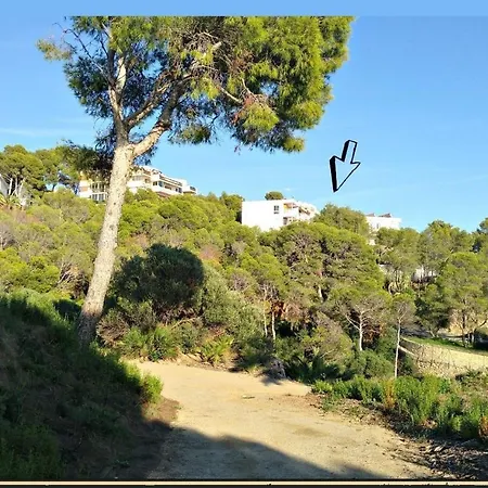 Aguila Dorada Apartment Salou
